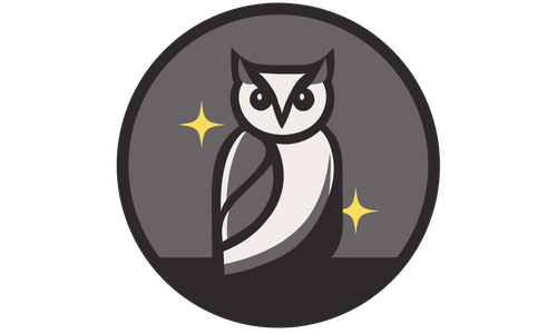 Night Owl : Night Owl
